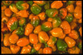 091006 Chiles At The Merced Public Market, Mexico City A4 Photo Print