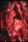 091010 Dried Chiles A4 Photo Print