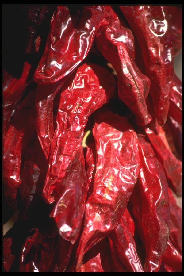 091010 Dried Chiles A4 Photo Print