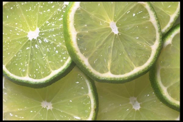 091017 Limes A4 Photo Print
