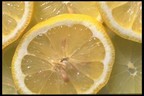 091018 Lemons A4 Photo Print