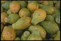 091031 Papayas A4 Photo Print