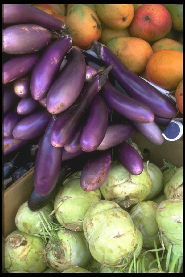 091037 Mangos, Eggplants And Kohlrabi A4 Photo Print