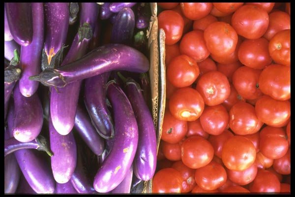 091039 Egg Plant And Tomatoes A4 Photo Print