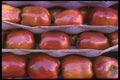 091053 Red Delicious Apples A4 Photo Print