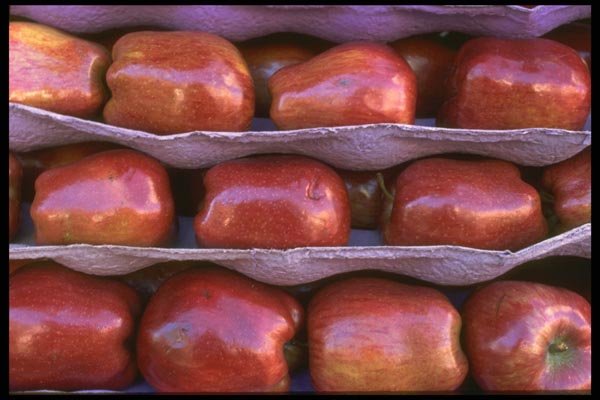 091053 Red Delicious Apples A4 Photo Print