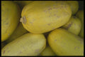 091075 Spaghetti Squash A4 Photo Print