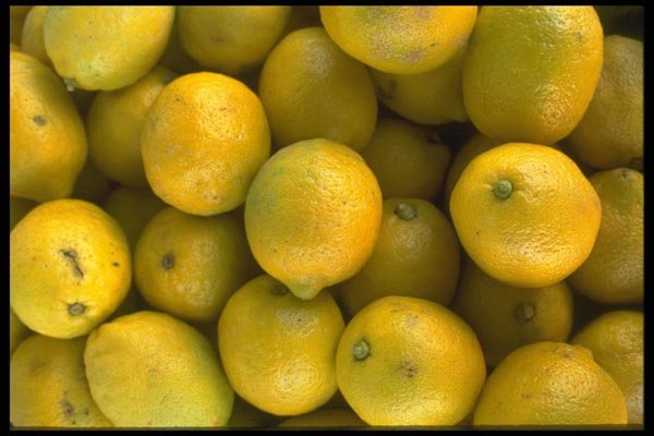 091076 Lemons A4 Photo Print