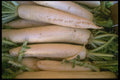 091088 Daikon Radishes A4 Photo Print
