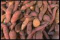 091089 Yams And Sweet Potatoes A4 Photo Print