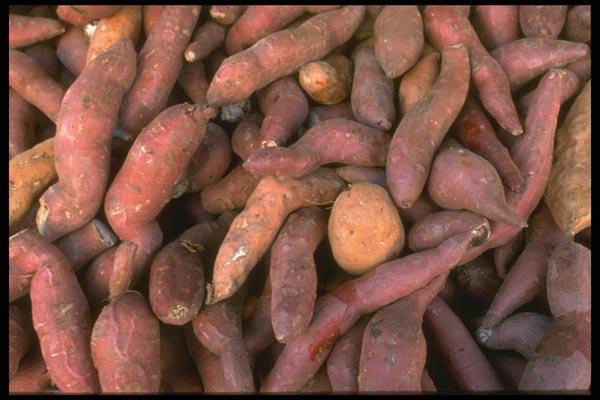 091089 Yams And Sweet Potatoes A4 Photo Print