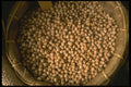 091097 Garbanzo Beans A4 Photo Print