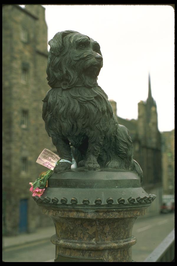 092020 Edinburgh, Greyfriar's Bobby A4 Photo Print
