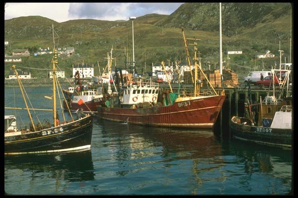 092049 Mallaig Harbor A4 Photo Print