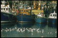 092050 Mallaig A4 Photo Print