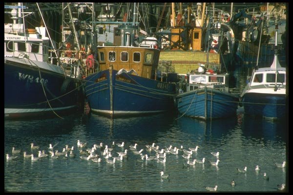 092050 Mallaig A4 Photo Print