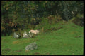 092056 Isle Of Arran, Lochranza A4 Photo Print