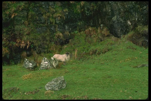 092056 Isle Of Arran, Lochranza A4 Photo Print