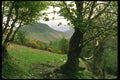 092061 Isle Of Arran, Lochranza A4 Photo Print