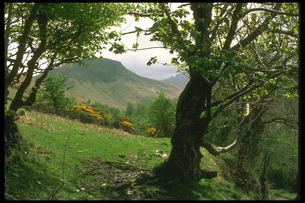 092061 Isle Of Arran, Lochranza A4 Photo Print