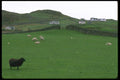 092068 Isle Of Lewis A4 Photo Print