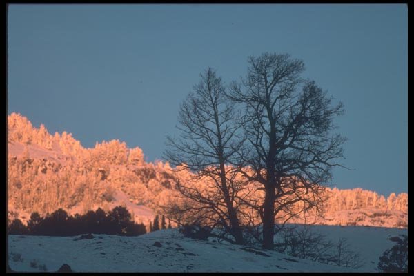 094004 Last Light, Lama Valley, Yellowstone A4 Photo Print