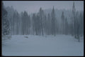 094011 Yellowstone A4 Photo Print