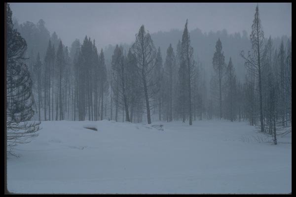 094011 Yellowstone A4 Photo Print