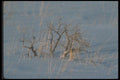 094023 Fresh Powder A4 Photo Print