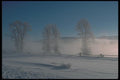 094025 Split Rail Fence A4 Photo Print