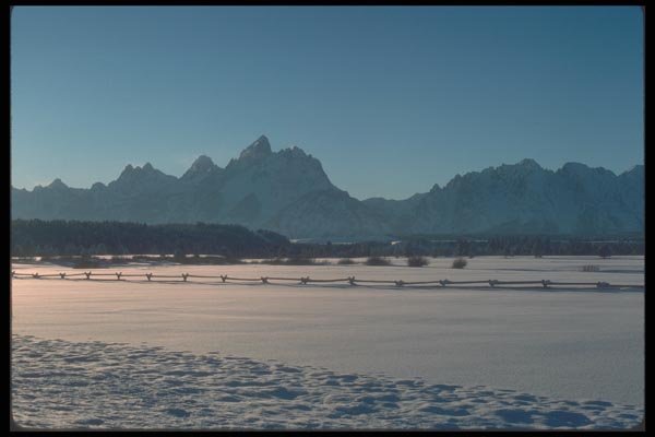 094037 Teton Meadow A4 Photo Print