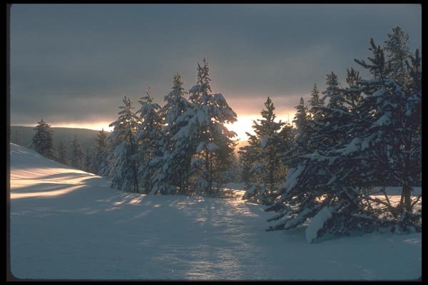 094040 Morning Light And Fresh Powder A4 Photo Print