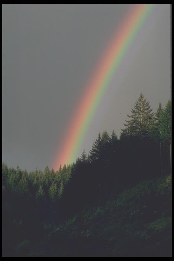 094058 Rainbow, Tetons A4 Photo Print