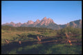 094060 Sun fence, Tetons A4 Photo Print