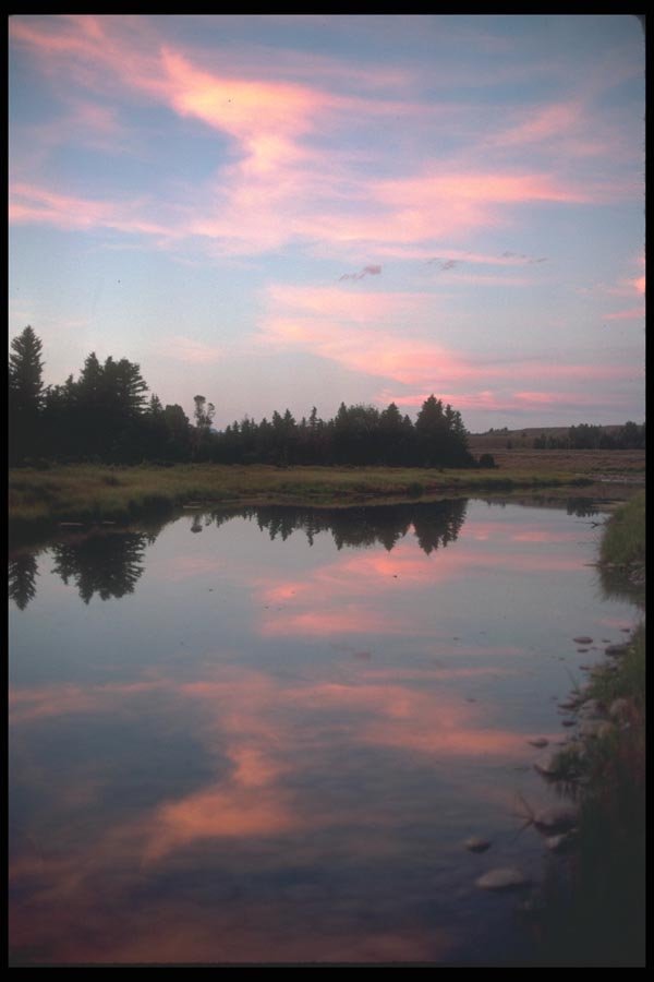 094063 Snake River A4 Photo Print