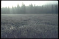 094085 Frosty Meadow A4 Photo Print