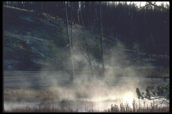 094098 Geyser Area A4 Photo Print