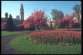 095005 Cardiff City Hall From Alexandra Gardens A4 Photo Print