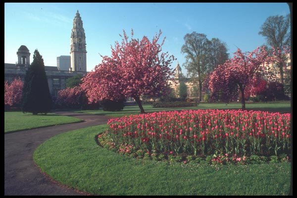095005 Cardiff City Hall From Alexandra Gardens A4 Photo Print