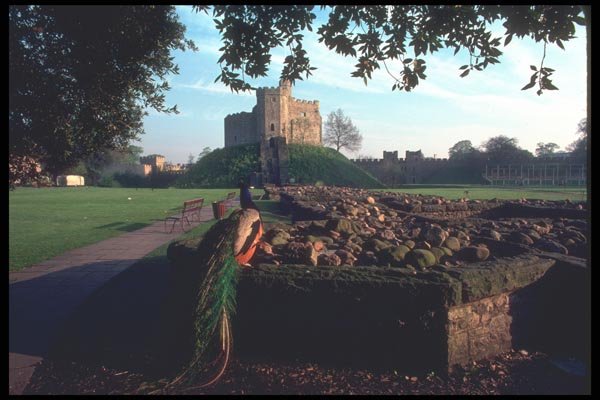 095008 Cardiff Castle A4 Photo Print