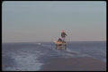 095021 Gower Peninsula, West Of Swansea, Cocle Picker A4 Photo Print