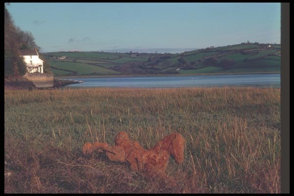 095024 Laugharne, Boat House, Where Poet Dylan Thomas Lived A4 Photo Print