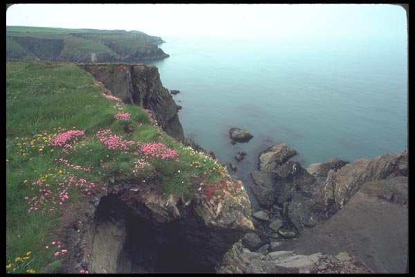 095035 St David's Head, Westernmost Point Of Wales A4 Photo Print