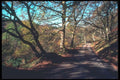 095040 Brecon Beacons National Park A4 Photo Print