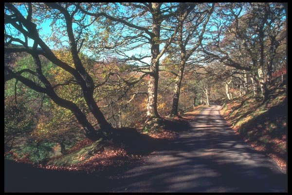 095040 Brecon Beacons National Park A4 Photo Print