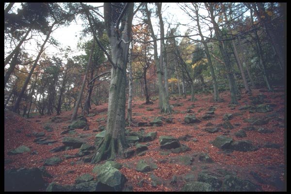 095041 Brecon Beacons National Park A4 Photo Print