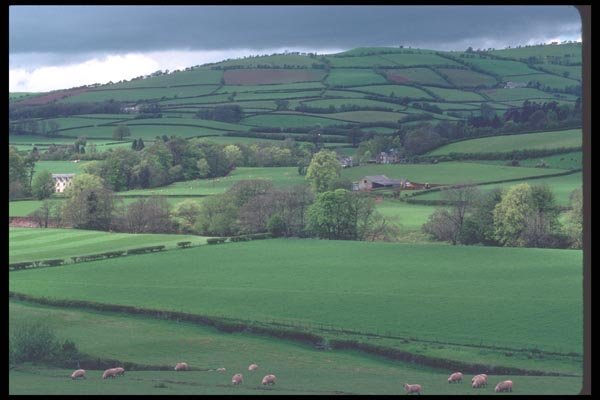 095052 Near Carreg Cennan Castle A4 Photo Print