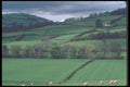095053 Near Carreg Cennan Castle A4 Photo Print