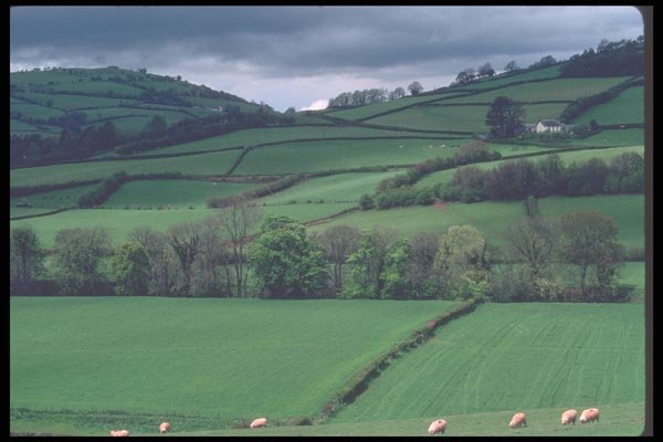 095053 Near Carreg Cennan Castle A4 Photo Print