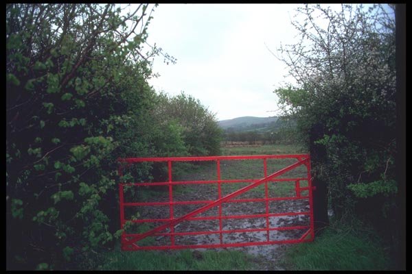 095056 Llandovery Lampeter Area, Dyfed County A4 Photo Print